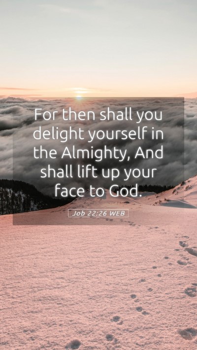 Picture 05 - Job 22:26 WEB Mobile Phone Wallpaper - For then shall you delight yourself in the - Mobile Bible Verse Wallpaper