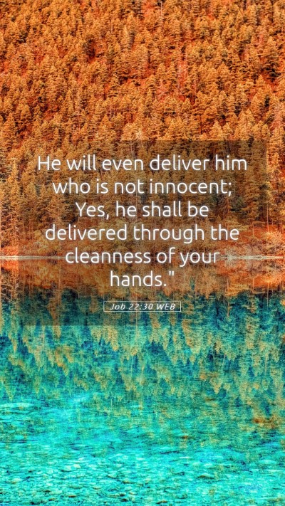 Picture 05 - Job 22:30 WEB Mobile Phone Wallpaper - He will even deliver him who is not innocent; - Mobile Bible Verse Wallpaper