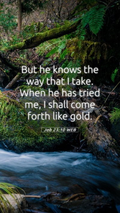 Picture 05 - Job 23:10 WEB Mobile Phone Wallpaper - But he knows the way that I take. When he has - Mobile Bible Verse Wallpaper