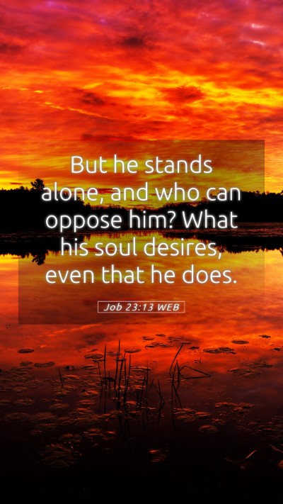 Picture 05 - Job 23:13 WEB Mobile Phone Wallpaper - But he stands alone, and who can oppose him? What - Mobile Bible Verse Wallpaper