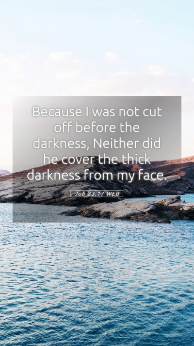 Picture 05 - Job 23:17 WEB Mobile Phone Wallpaper - Because I was not cut off before the darkness, - Mobile Bible Verse Wallpaper