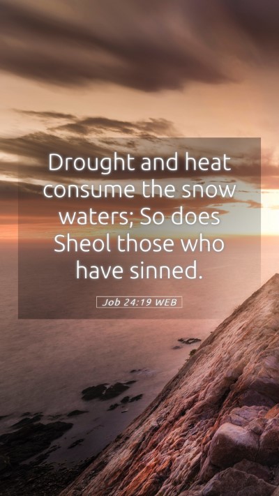 Picture 05 - Job 24:19 WEB Mobile Phone Wallpaper - Drought and heat consume the snow waters; So does - Mobile Bible Verse Wallpaper