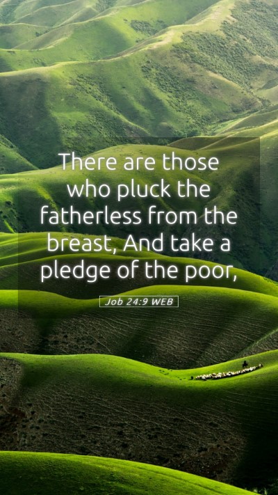 Picture 05 - Job 24:9 WEB Mobile Phone Wallpaper - There are those who pluck the fatherless from the - Mobile Bible Verse Wallpaper