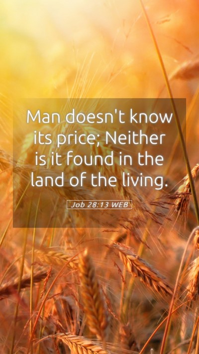 Picture 05 - Job 28:13 WEB Mobile Phone Wallpaper - Man doesn't know its price; Neither is it found - Mobile Bible Verse Wallpaper