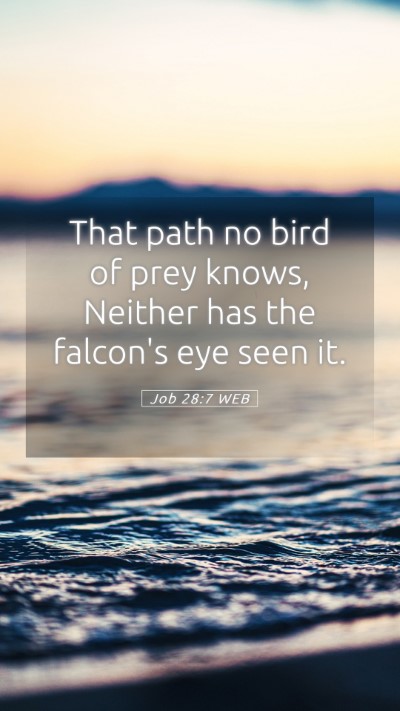 Picture 05 - Job 28:7 WEB Mobile Phone Wallpaper - That path no bird of prey knows, Neither has the - Mobile Bible Verse Wallpaper