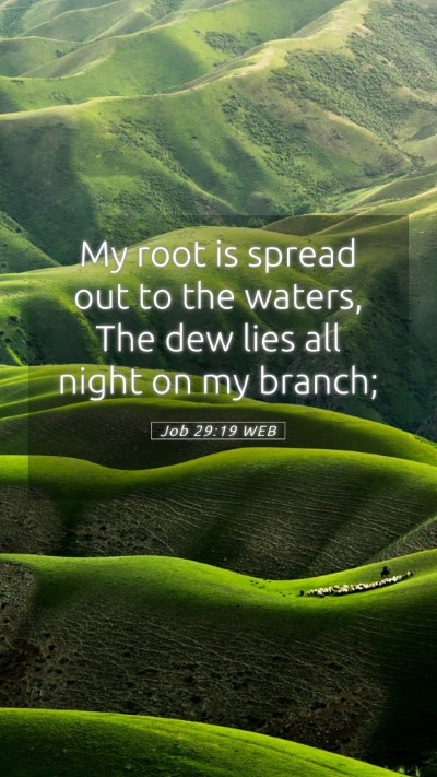 Picture 05 - Job 29:19 WEB Mobile Phone Wallpaper - My root is spread out to the waters, The dew lies - Mobile Bible Verse Wallpaper