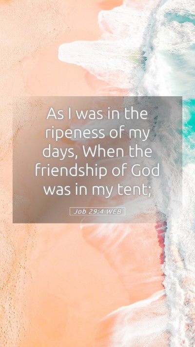 Picture 05 - Job 29:4 WEB Mobile Phone Wallpaper - As I was in the ripeness of my days, When the - Mobile Bible Verse Wallpaper