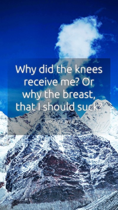 Picture 05 - Job 3:12 WEB Mobile Phone Wallpaper - Why did the knees receive me? Or why the breast, - Mobile Bible Verse Wallpaper