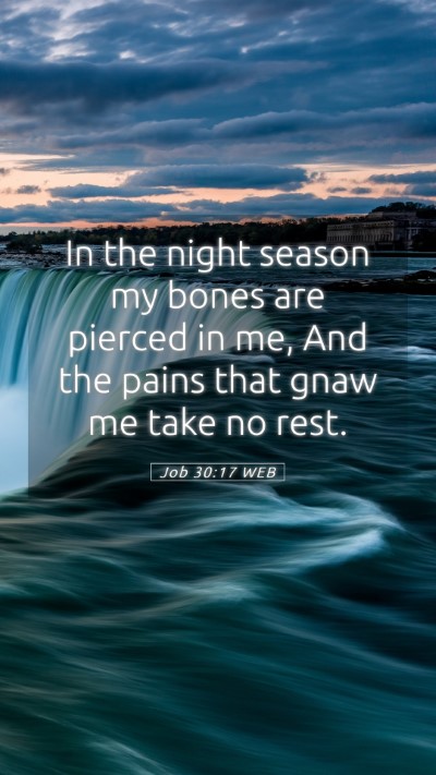 Picture 05 - Job 30:17 WEB Mobile Phone Wallpaper - In the night season my bones are pierced in me, - Mobile Bible Verse Wallpaper