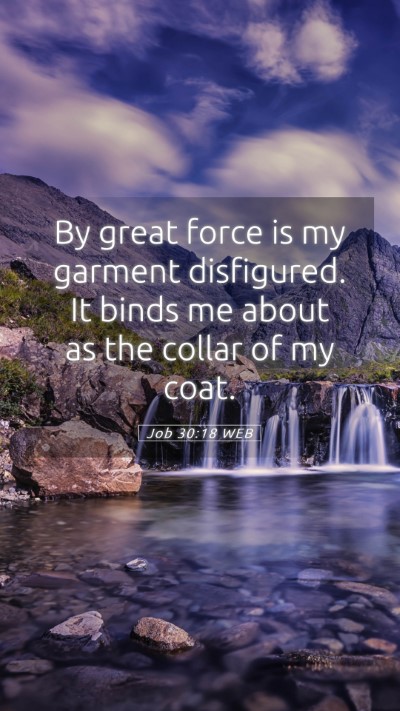 Picture 05 - Job 30:18 WEB Mobile Phone Wallpaper - By great force is my garment disfigured. It binds - Mobile Bible Verse Wallpaper