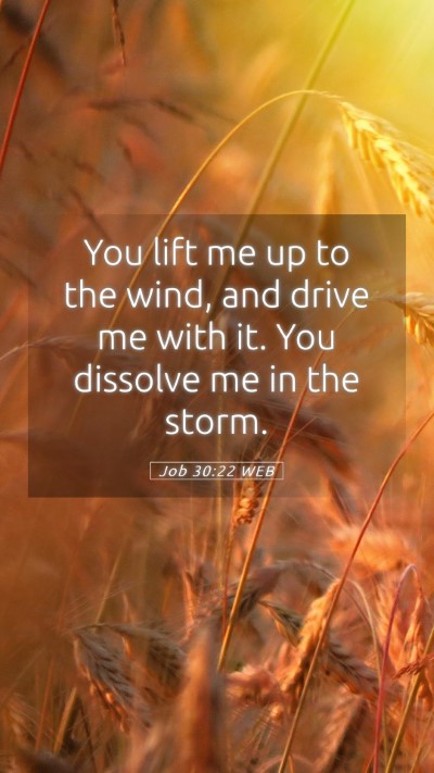 Picture 05 - Job 30:22 WEB Mobile Phone Wallpaper - You lift me up to the wind, and drive me with it. - Mobile Bible Verse Wallpaper