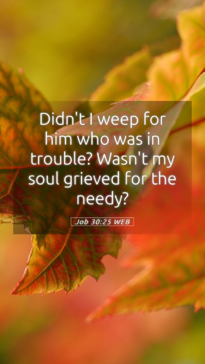 Picture 05 - Job 30:25 WEB Mobile Phone Wallpaper - Didn't I weep for him who was in trouble? Wasn't - Mobile Bible Verse Wallpaper