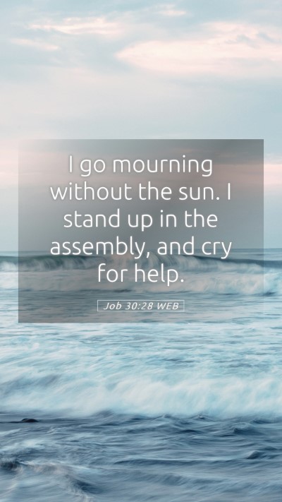 Picture 05 - Job 30:28 WEB Mobile Phone Wallpaper - I go mourning without the sun. I stand up in the - Mobile Bible Verse Wallpaper