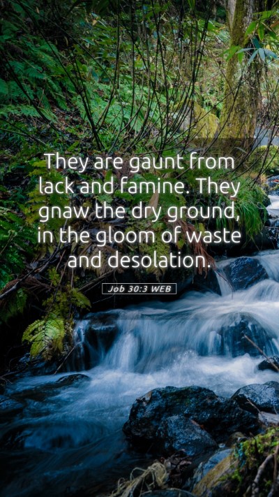 Picture 05 - Job 30:3 WEB Mobile Phone Wallpaper - They are gaunt from lack and famine. They gnaw - Mobile Bible Verse Wallpaper