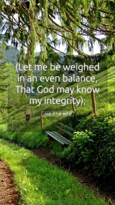 Picture 05 - Job 31:6 WEB Mobile Phone Wallpaper - (Let me be weighed in an even balance, That God - Mobile Bible Verse Wallpaper