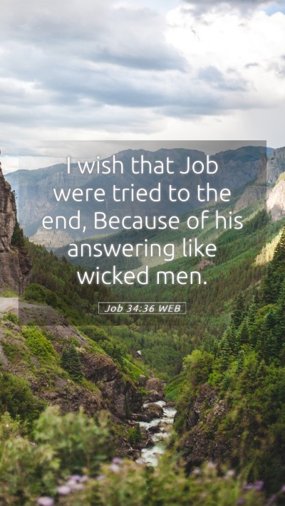 Picture 05 - Job 34:36 WEB Mobile Phone Wallpaper - I wish that Job were tried to the end, Because of - Mobile Bible Verse Wallpaper