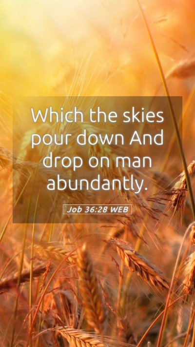 Picture 05 - Job 36:28 WEB Mobile Phone Wallpaper - Which the skies pour down And drop on man - Mobile Bible Verse Wallpaper