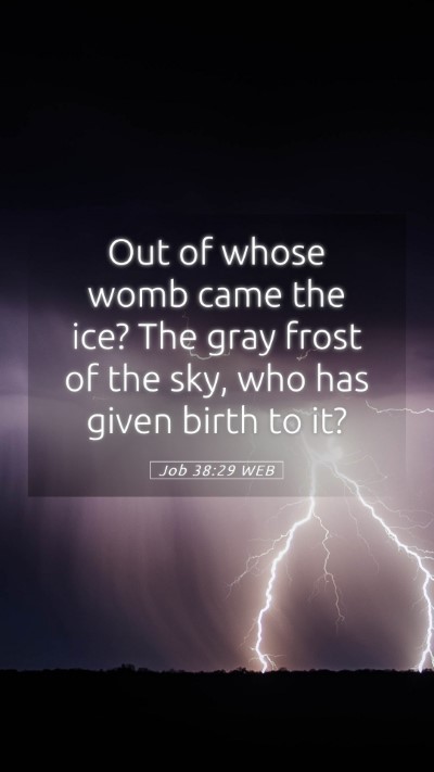 Picture 05 - Job 38:29 WEB Mobile Phone Wallpaper - Out of whose womb came the ice? The gray frost of - Mobile Bible Verse Wallpaper