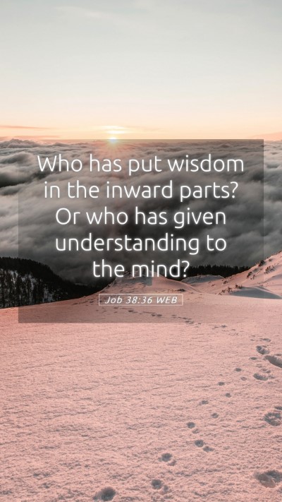 Picture 05 - Job 38:36 WEB Mobile Phone Wallpaper - Who has put wisdom in the inward parts? Or who - Mobile Bible Verse Wallpaper