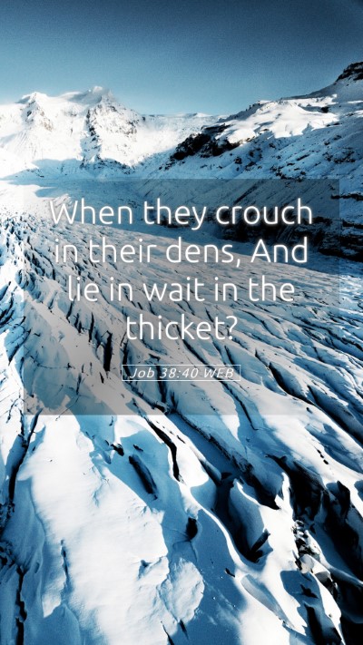 Picture 05 - Job 38:40 WEB Mobile Phone Wallpaper - When they crouch in their dens, And lie in wait - Mobile Bible Verse Wallpaper