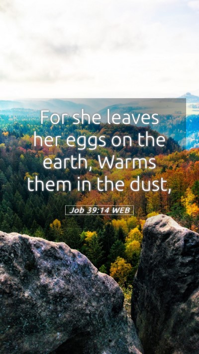 Picture 05 - Job 39:14 WEB Mobile Phone Wallpaper - For she leaves her eggs on the earth, Warms them - Mobile Bible Verse Wallpaper
