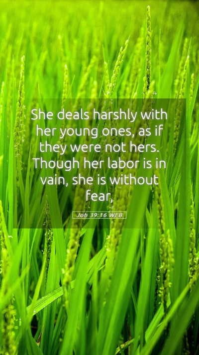Picture 05 - Job 39:16 WEB Mobile Phone Wallpaper - She deals harshly with her young ones, as if they - Mobile Bible Verse Wallpaper