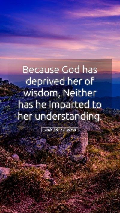 Picture 05 - Job 39:17 WEB Mobile Phone Wallpaper - Because God has deprived her of wisdom, Neither - Mobile Bible Verse Wallpaper