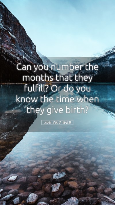 Picture 05 - Job 39:2 WEB Mobile Phone Wallpaper - Can you number the months that they fulfill? Or - Mobile Bible Verse Wallpaper