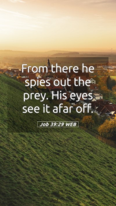 Picture 05 - Job 39:29 WEB Mobile Phone Wallpaper - From there he spies out the prey. His eyes see it - Mobile Bible Verse Wallpaper