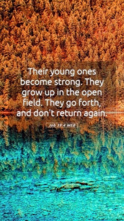 Picture 05 - Job 39:4 WEB Mobile Phone Wallpaper - Their young ones become strong. They grow up in - Mobile Bible Verse Wallpaper
