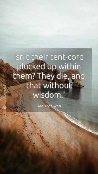 Picture 05 - Job 4:21 WEB Mobile Phone Wallpaper - Isn't their tent-cord plucked up within them? - Mobile Bible Verse Wallpaper