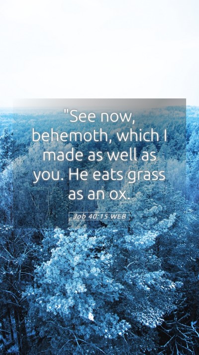 Picture 05 - Job 40:15 WEB Mobile Phone Wallpaper - 