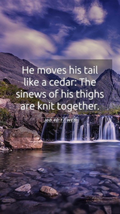 Picture 05 - Job 40:17 WEB Mobile Phone Wallpaper - He moves his tail like a cedar: The sinews of his - Mobile Bible Verse Wallpaper