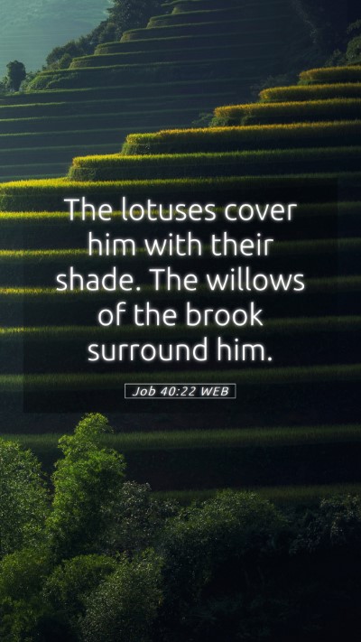 Picture 05 - Job 40:22 WEB Mobile Phone Wallpaper - The lotuses cover him with their shade. The - Mobile Bible Verse Wallpaper