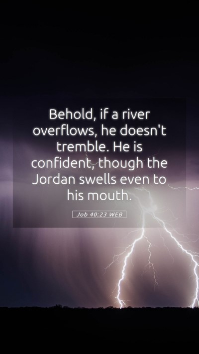 Picture 05 - Job 40:23 WEB Mobile Phone Wallpaper - Behold, if a river overflows, he doesn't tremble. - Mobile Bible Verse Wallpaper