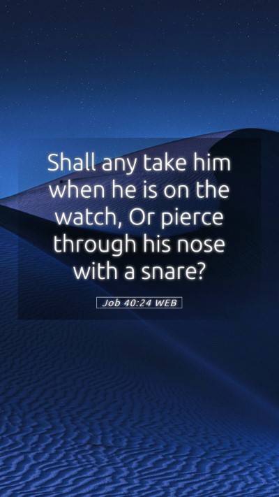 Picture 05 - Job 40:24 WEB Mobile Phone Wallpaper - Shall any take him when he is on the watch, Or - Mobile Bible Verse Wallpaper