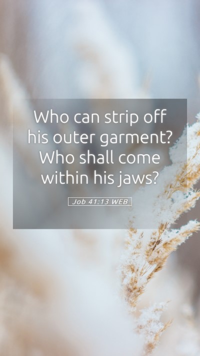Picture 05 - Job 41:13 WEB Mobile Phone Wallpaper - Who can strip off his outer garment? Who shall - Mobile Bible Verse Wallpaper