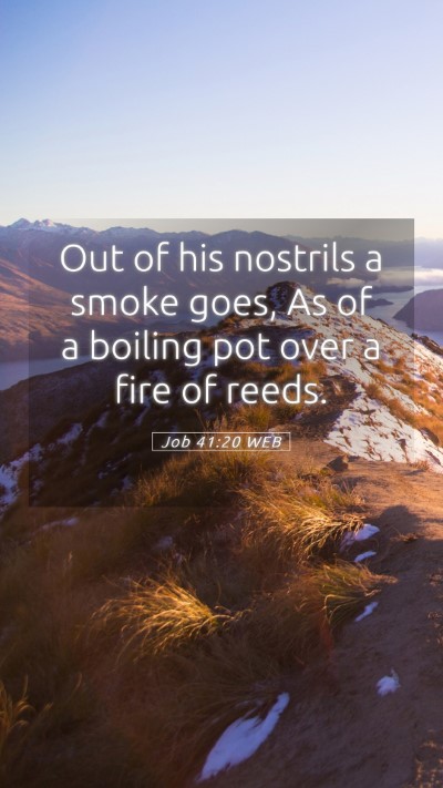 Picture 05 - Job 41:20 WEB Mobile Phone Wallpaper - Out of his nostrils a smoke goes, As of a boiling - Mobile Bible Verse Wallpaper