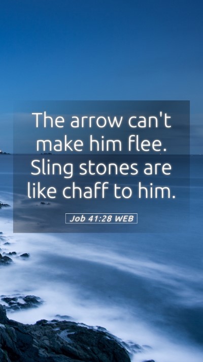 Picture 05 - Job 41:28 WEB Mobile Phone Wallpaper - The arrow can't make him flee. Sling stones are - Mobile Bible Verse Wallpaper
