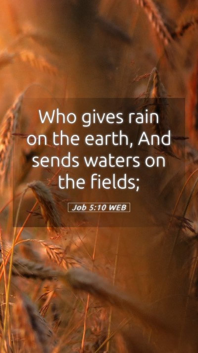 Picture 05 - Job 5:10 WEB Mobile Phone Wallpaper - Who gives rain on the earth, And sends waters on - Mobile Bible Verse Wallpaper