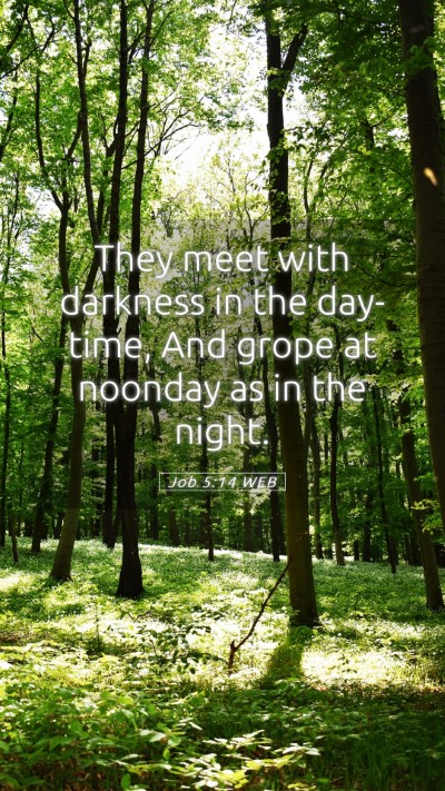 Picture 05 - Job 5:14 WEB Mobile Phone Wallpaper - They meet with darkness in the day-time, And - Mobile Bible Verse Wallpaper
