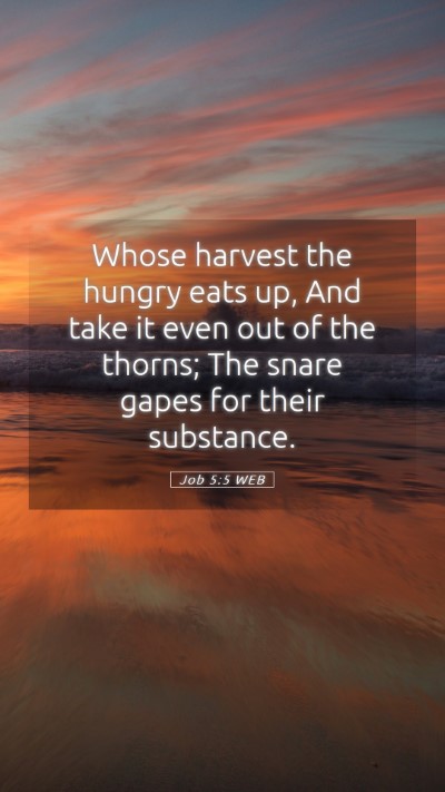 Picture 05 - Job 5:5 WEB Mobile Phone Wallpaper - Whose harvest the hungry eats up, And take it - Mobile Bible Verse Wallpaper