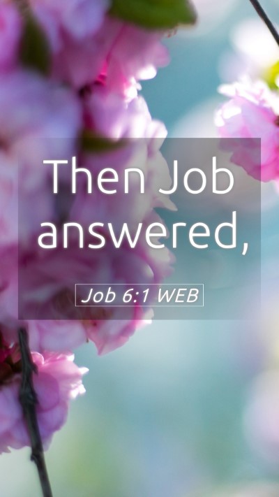 Picture 05 - Job 6:1 WEB Mobile Phone Wallpaper - Then Job - Mobile Bible Verse Wallpaper