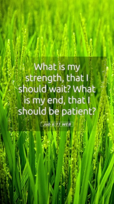 Picture 05 - Job 6:11 WEB Mobile Phone Wallpaper - What is my strength, that I should wait? What is - Mobile Bible Verse Wallpaper
