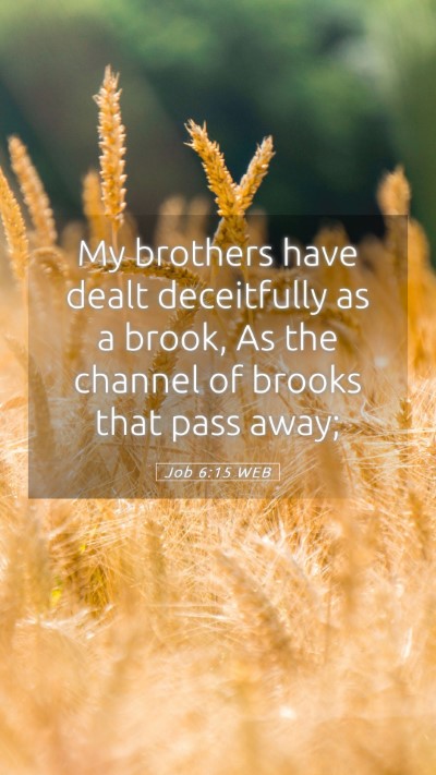 Picture 05 - Job 6:15 WEB Mobile Phone Wallpaper - My brothers have dealt deceitfully as a brook, As - Mobile Bible Verse Wallpaper