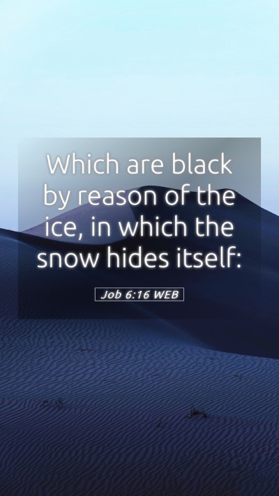 Picture 05 - Job 6:16 WEB Mobile Phone Wallpaper - Which are black by reason of the ice, in which - Mobile Bible Verse Wallpaper