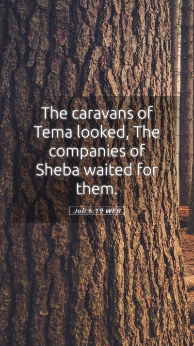 Picture 05 - Job 6:19 WEB Mobile Phone Wallpaper - The caravans of Tema looked, The companies of - Mobile Bible Verse Wallpaper