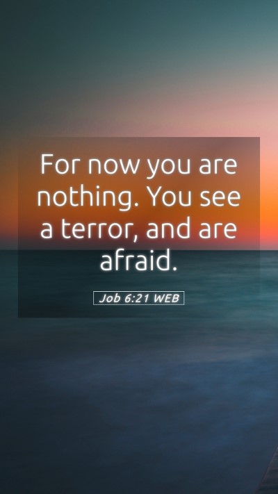 Picture 05 - Job 6:21 WEB Mobile Phone Wallpaper - For now you are nothing. You see a terror, and - Mobile Bible Verse Wallpaper