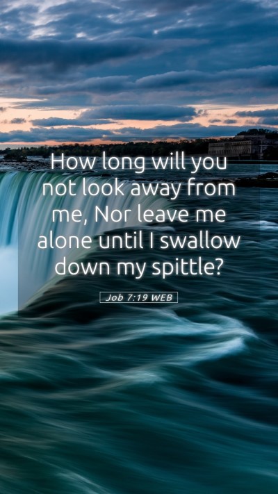 Picture 05 - Job 7:19 WEB Mobile Phone Wallpaper - How long will you not look away from me, Nor - Mobile Bible Verse Wallpaper