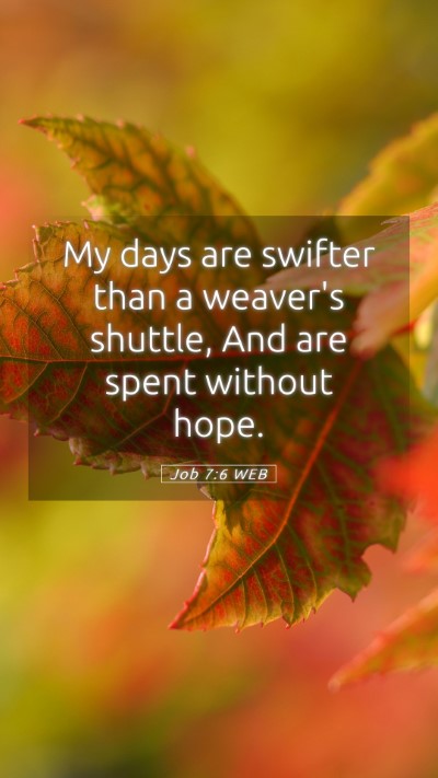 Picture 05 - Job 7:6 WEB Mobile Phone Wallpaper - My days are swifter than a weaver's shuttle, And - Mobile Bible Verse Wallpaper
